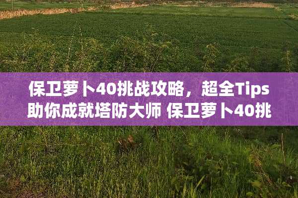保卫萝卜40挑战攻略，超全Tips助你成就塔防大师 保卫萝卜40挑战攻略