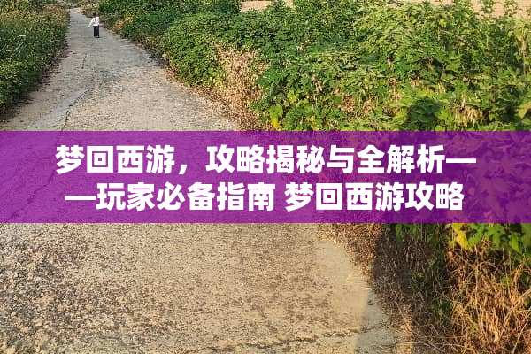梦回西游，攻略揭秘与全解析——玩家必备指南 梦回西游攻略