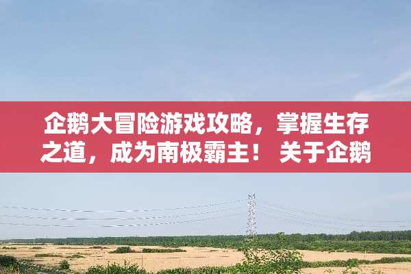 企鹅大冒险游戏攻略，掌握生存之道，成为南极霸主！ 关于企鹅的游戏攻略