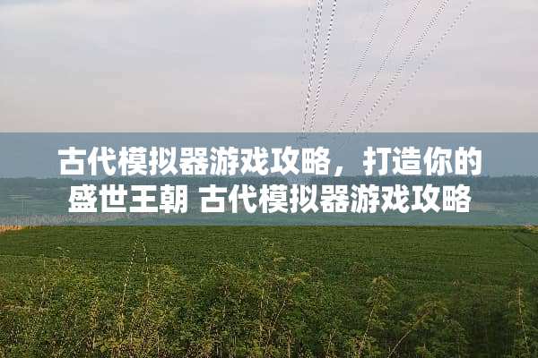 古代模拟器游戏攻略，打造你的盛世王朝 古代模拟器游戏攻略