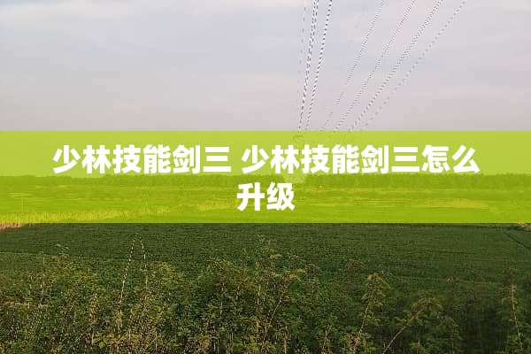 少林技能剑三 少林技能剑三怎么升级