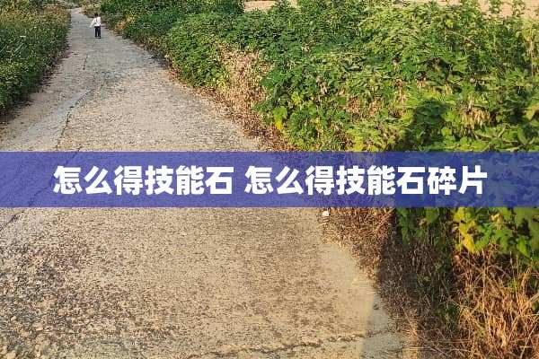 怎么得技能石 怎么得技能石碎片