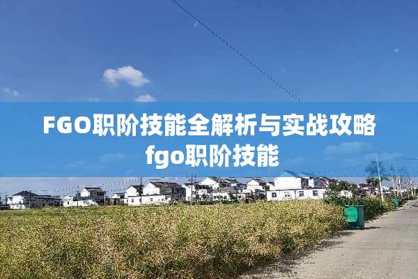 FGO职阶技能全解析与实战攻略 fgo职阶技能