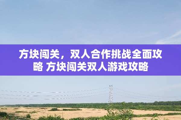 方块闯关，双人合作挑战全面攻略 方块闯关双人游戏攻略