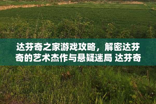 达芬奇之家游戏攻略，解密达芬奇的艺术杰作与悬疑迷局 达芬奇之家攻略