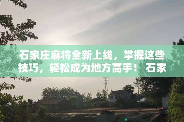 石家庄麻将全新上线，掌握这些技巧，轻松成为地方高手！ 石家庄麻将玩法