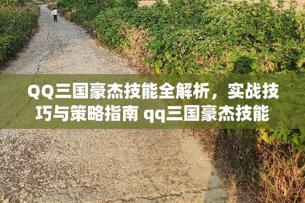 QQ三国豪杰技能全解析，实战技巧与策略指南 qq三国豪杰技能