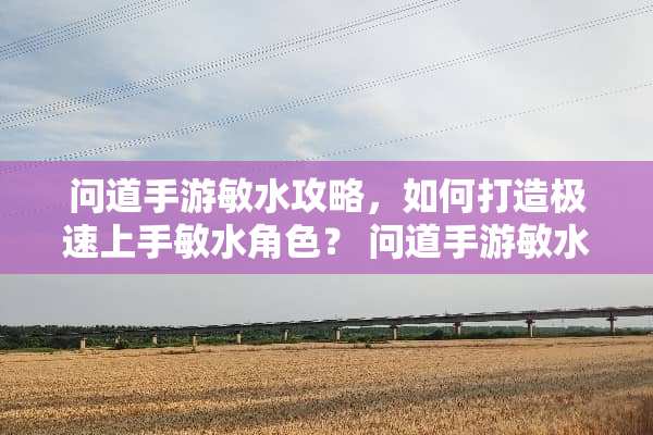 问道手游敏水攻略，如何打造极速上手敏水角色？ 问道手游敏水攻略
