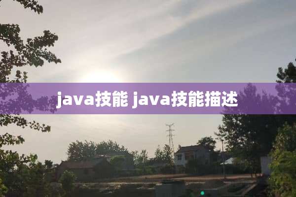 java技能 java技能描述