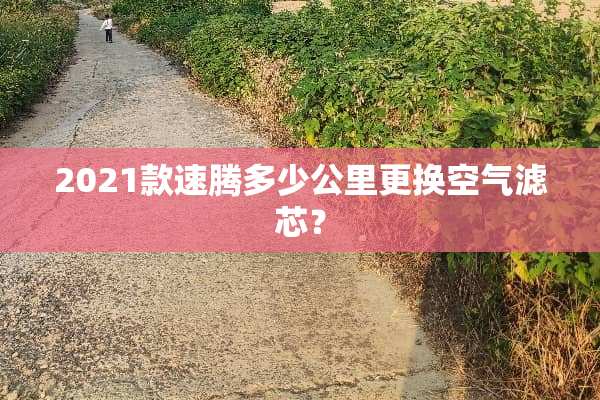 2021款速腾多少公里更换空气滤芯？