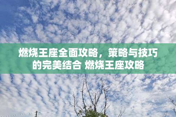 燃烧王座全面攻略，策略与技巧的完美结合 燃烧王座攻略