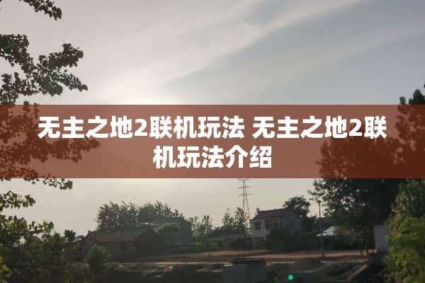 无主之地2联机玩法 无主之地2联机玩法介绍