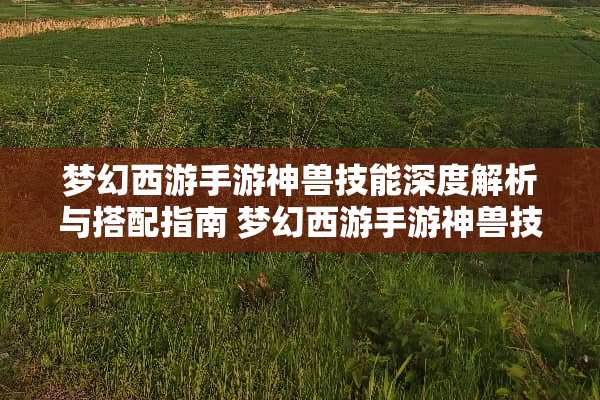 梦幻西游手游神兽技能深度解析与搭配指南 梦幻西游手游神兽技能