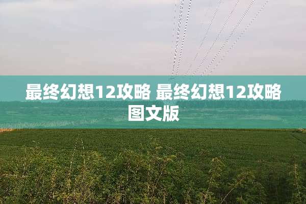 最终幻想12攻略 最终幻想12攻略图文版