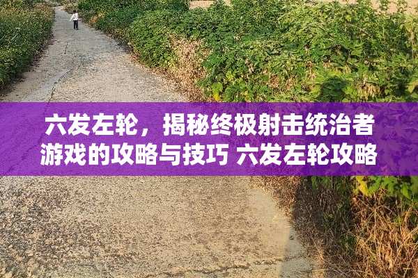 六发左轮，揭秘终极射击统治者游戏的攻略与技巧 六发左**略