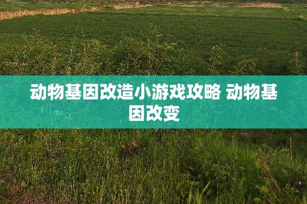 动物基因改造小游戏攻略 动物基因改变