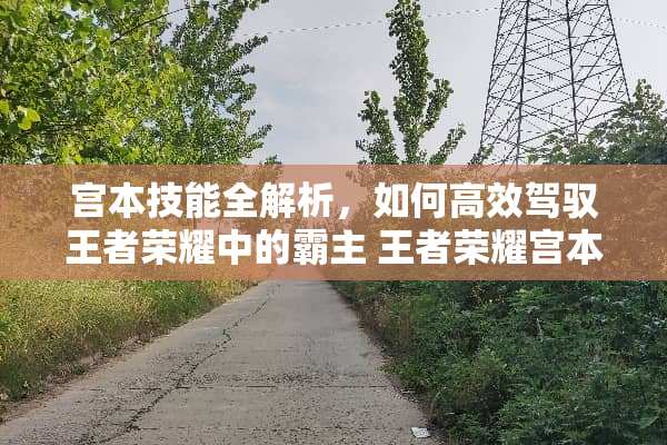 宫本技能全解析，如何高效驾驭王者荣耀中的霸主 王者荣耀宫本技能