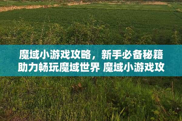 魔域小游戏攻略，新手必备秘籍助力畅玩魔域世界 魔域小游戏攻略