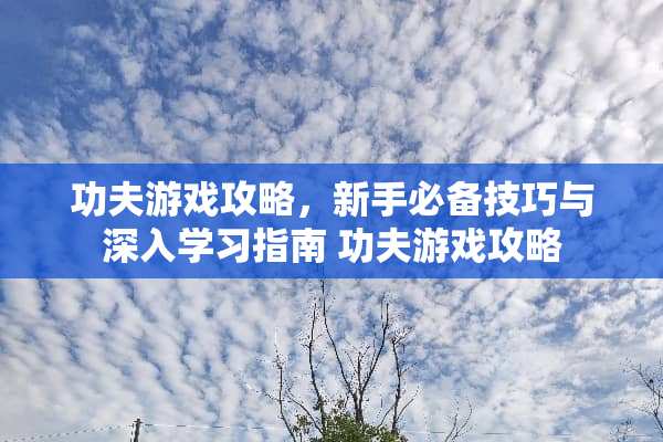 功夫游戏攻略，新手必备技巧与深入学习指南 功夫游戏攻略