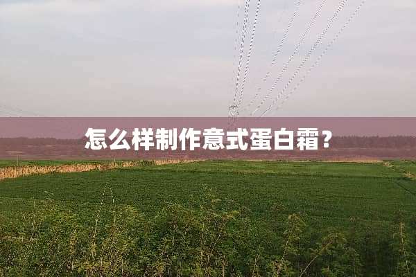 怎么样制作意式蛋白霜？
