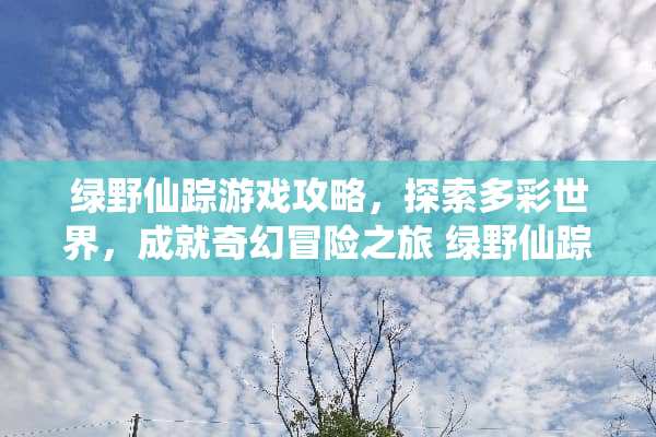 绿野仙踪游戏攻略，探索多彩世界，成就奇幻冒险之旅 绿野仙踪游戏攻略