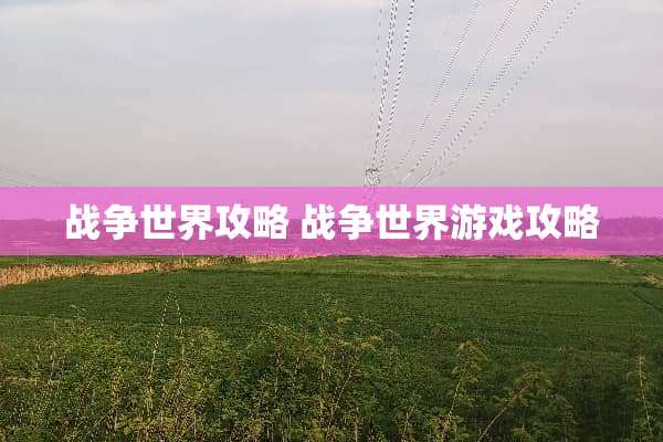 战争世界攻略 战争世界游戏攻略