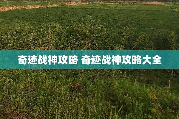 奇迹战神攻略 奇迹战神攻略大全