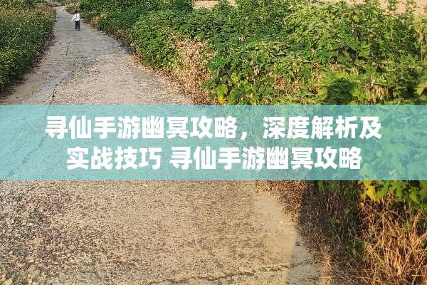 寻仙手游幽冥攻略，深度解析及实战技巧 寻仙手游幽冥攻略