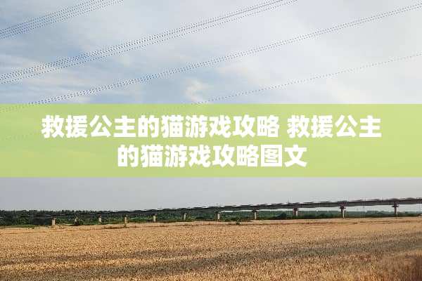 救援公主的猫游戏攻略 救援公主的猫游戏攻略图文