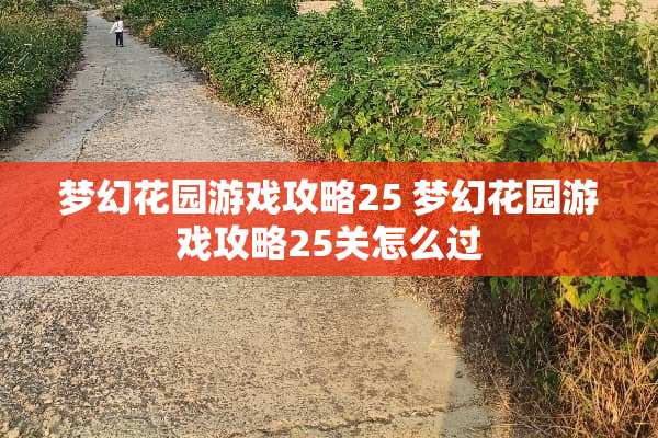 梦幻花园游戏攻略25 梦幻花园游戏攻略25关怎么过
