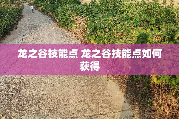 龙之谷技能点 龙之谷技能点如何获得