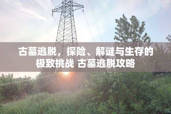 古墓逃脱，探险、解谜与生存的极致挑战 古墓逃脱攻略