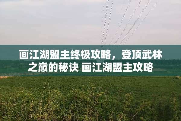 画江湖盟主终极攻略，登顶武林之巅的秘诀 画江湖盟主攻略
