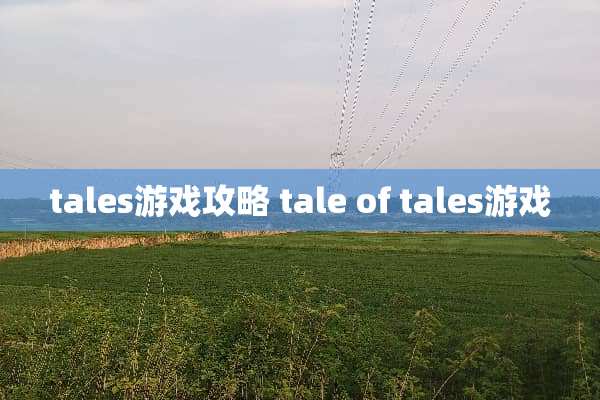 tales游戏攻略 tale of tales游戏