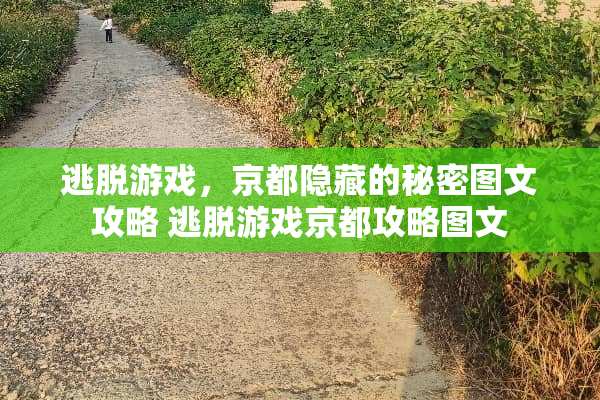 逃脱游戏，京都隐藏的秘密图文攻略 逃脱游戏京都攻略图文