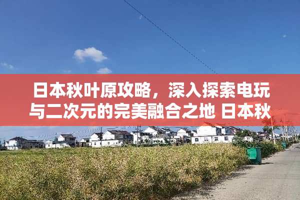 日本秋叶原攻略，深入探索电玩与二次元的完美融合之地 日本秋叶原攻略