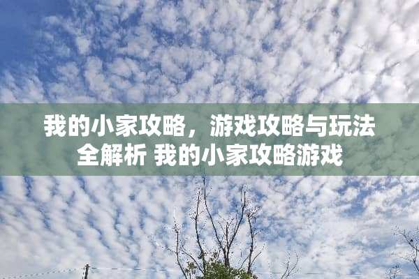 我的小家攻略，游戏攻略与玩法全解析 我的小家攻略游戏