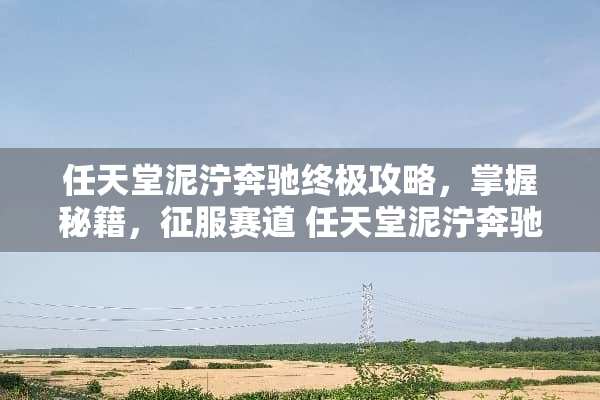 任天堂泥泞奔驰终极攻略，掌握秘籍，征服赛道 任天堂泥泞奔驰游戏攻略