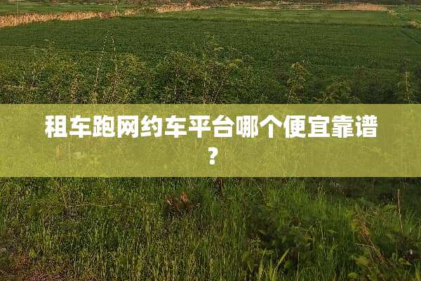 租车跑网约车平台哪个便宜靠谱？
