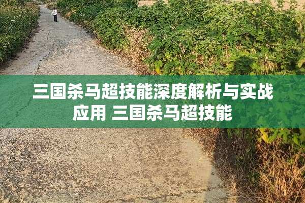 三国杀马超技能深度解析与实战应用 三国杀马超技能