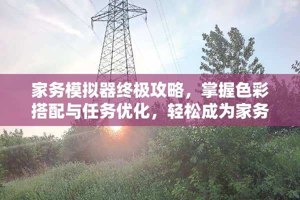 家务模拟器终极攻略，掌握色彩搭配与任务优化，轻松成为家务高手！ 家务游戏攻略排颜色