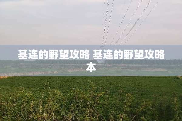 基连的野望攻略 基连的野望攻略本