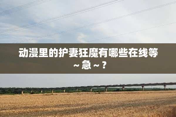 动漫里的护妻狂魔有哪些在线等～急～？