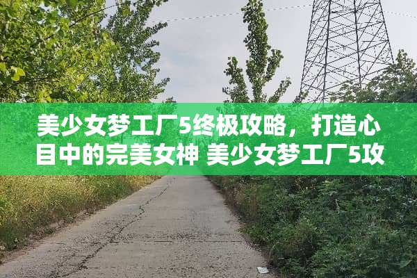 美少女梦工厂5终极攻略，打造心目中的完**神 美少女梦工厂5攻略