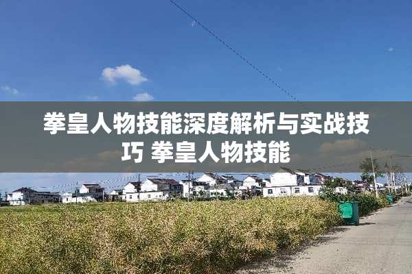 拳皇人物技能深度解析与实战技巧 拳皇人物技能
