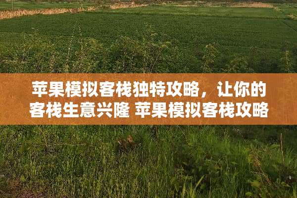 苹果模拟客栈独特攻略，让你的客栈生意兴隆 苹果模拟客栈攻略游戏