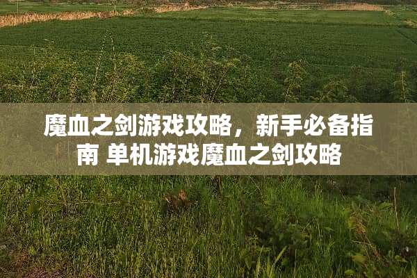 魔血之剑游戏攻略，新手必备指南 单机游戏魔血之剑攻略