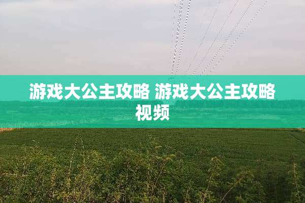 游戏大公主攻略 游戏大公主攻略视频