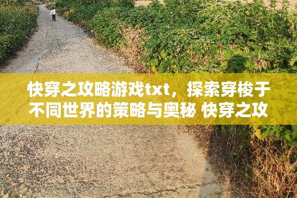 快穿之攻略游戏txt，探索穿梭于不同世界的策略与奥秘 快穿之攻略游戏txt