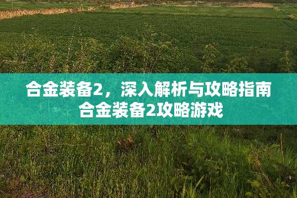 合金装备2，深入解析与攻略指南 合金装备2攻略游戏